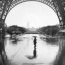 carpethefuckingdiemblog avatar