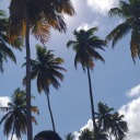 carregandoamores avatar