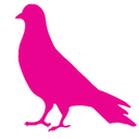 carrigerpigeon avatar