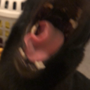 carrion-comfort-poetry avatar