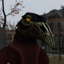 carrionbirdie avatar