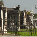 carrionforthecrows avatar