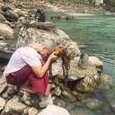 carrot-fanfics avatar