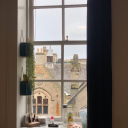 carrotcalories avatar