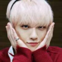 carrotland-blog1 avatar