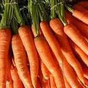 carrotsaregood avatar