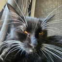 carrotsnpotats avatar