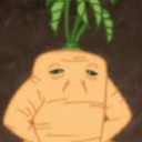 carrotspirits avatar