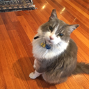 carrybalmandkeepon avatar