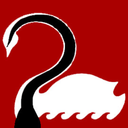 carryoncaptainswan avatar