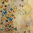 cartadasemana avatar