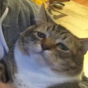 cartas-acromaticas avatar