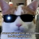 cartasconcanela avatar