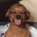 cartierdreamx avatar