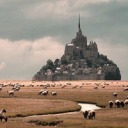 cartoonshowroom avatar