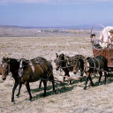 cartsandrafts avatar