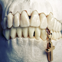 carvedteeth avatar