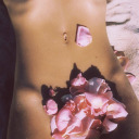 carytiefkuehlschwan avatar