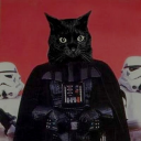 casablancacasablancacasablanca avatar