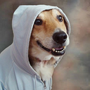 casacomquintal-blog avatar