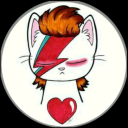 casadegatos avatar