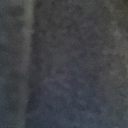 casadelarbol33-blog avatar