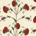 casadelcolore avatar