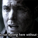 casanddean5ever avatar