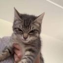 casarmecontigo avatar