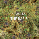 casbia avatar