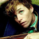 caseofnewtscamander avatar