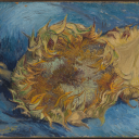 casestudytobe avatar