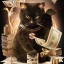 cashcats avatar