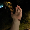 cashmere-human avatar