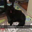 cashmoneysweg avatar