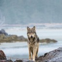 casinthest4rs avatar