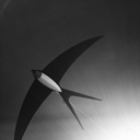 casita-and-the-sky avatar