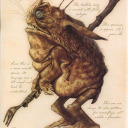 casket-stealer avatar