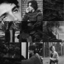 caslupinblack avatar