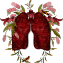 cassandra-florenceversion avatar