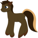 cassi-mlp avatar