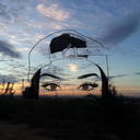 cassidy-shine avatar