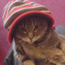 cassiecassettem avatar