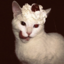 cassiesc0rner avatar