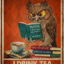 cassiopeia-riddle7 avatar