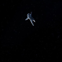 cassiopeiathewraith avatar