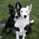 castianityislife01-blog avatar