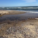 castielnovak53 avatar