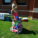 castielscrispyfriedwings avatar