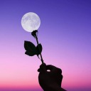 castieltheangel avatar